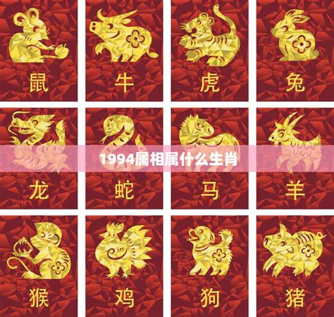 94年属|1994年属什么生肖配对 1994年和什么属相最配